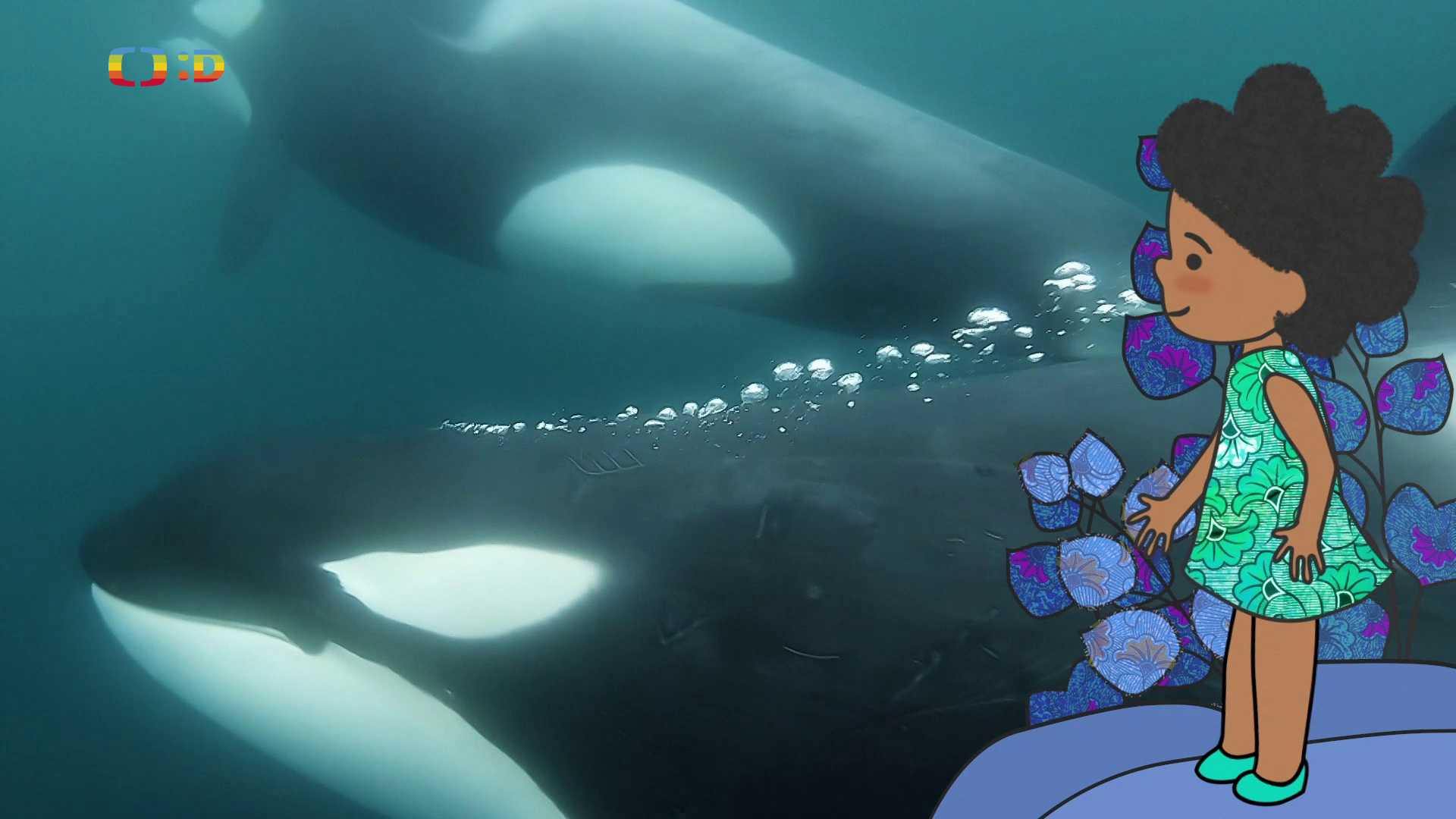 Velká kniha o zvířátkách II