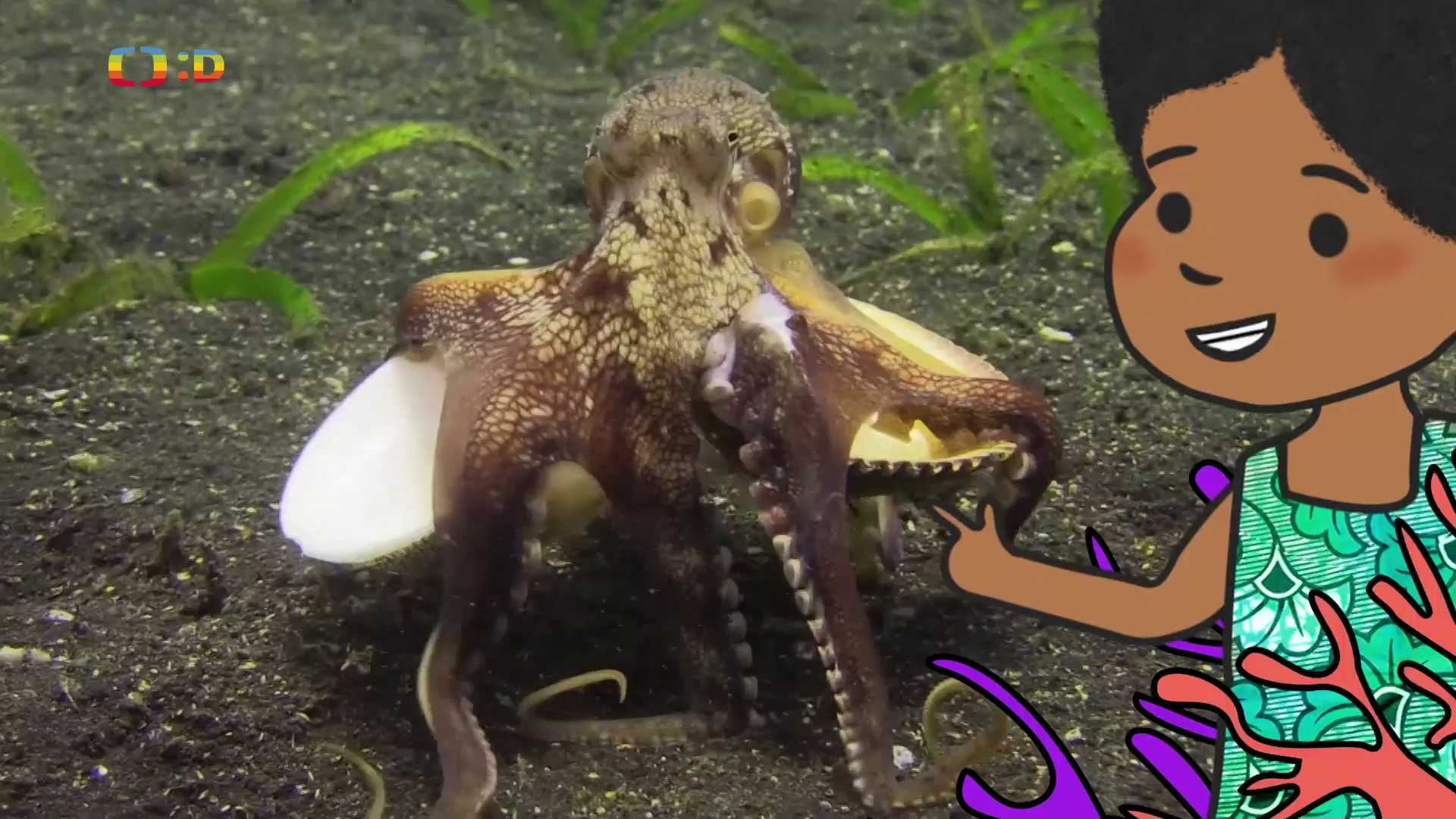Velká kniha o zvířátkách II