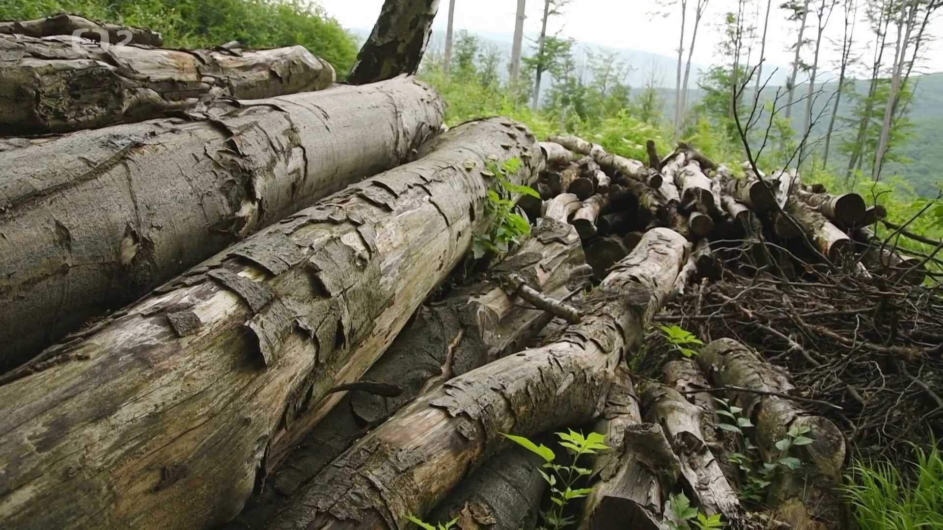 Občanské noviny