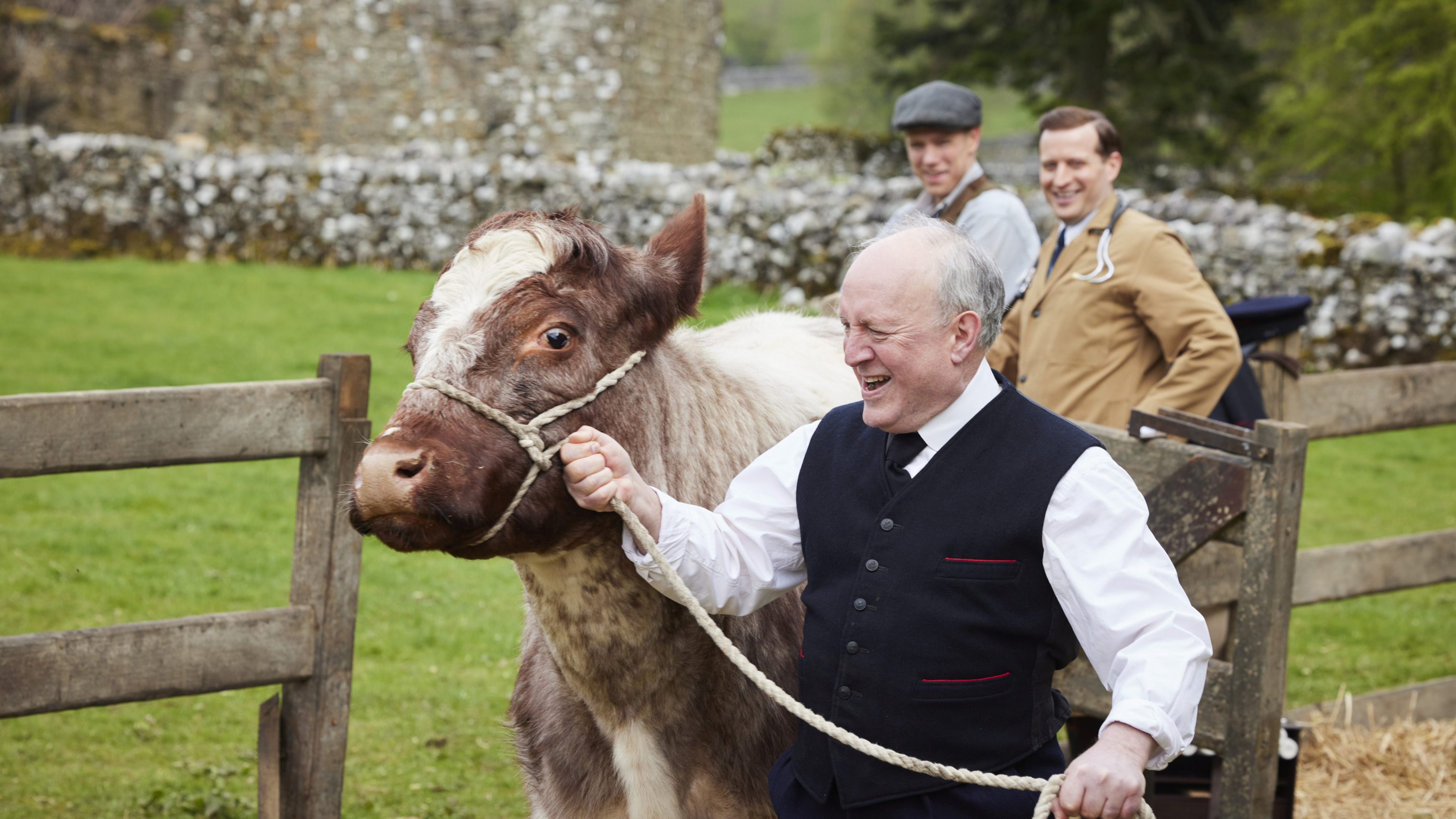 Všechny velké a malé bytosti V