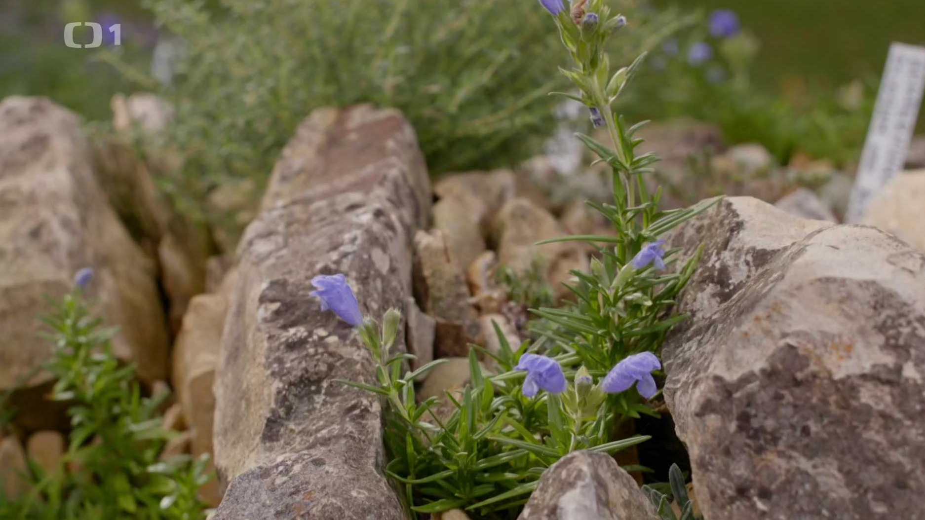 Co naše babičky uměly a na co my jsme zapomněli