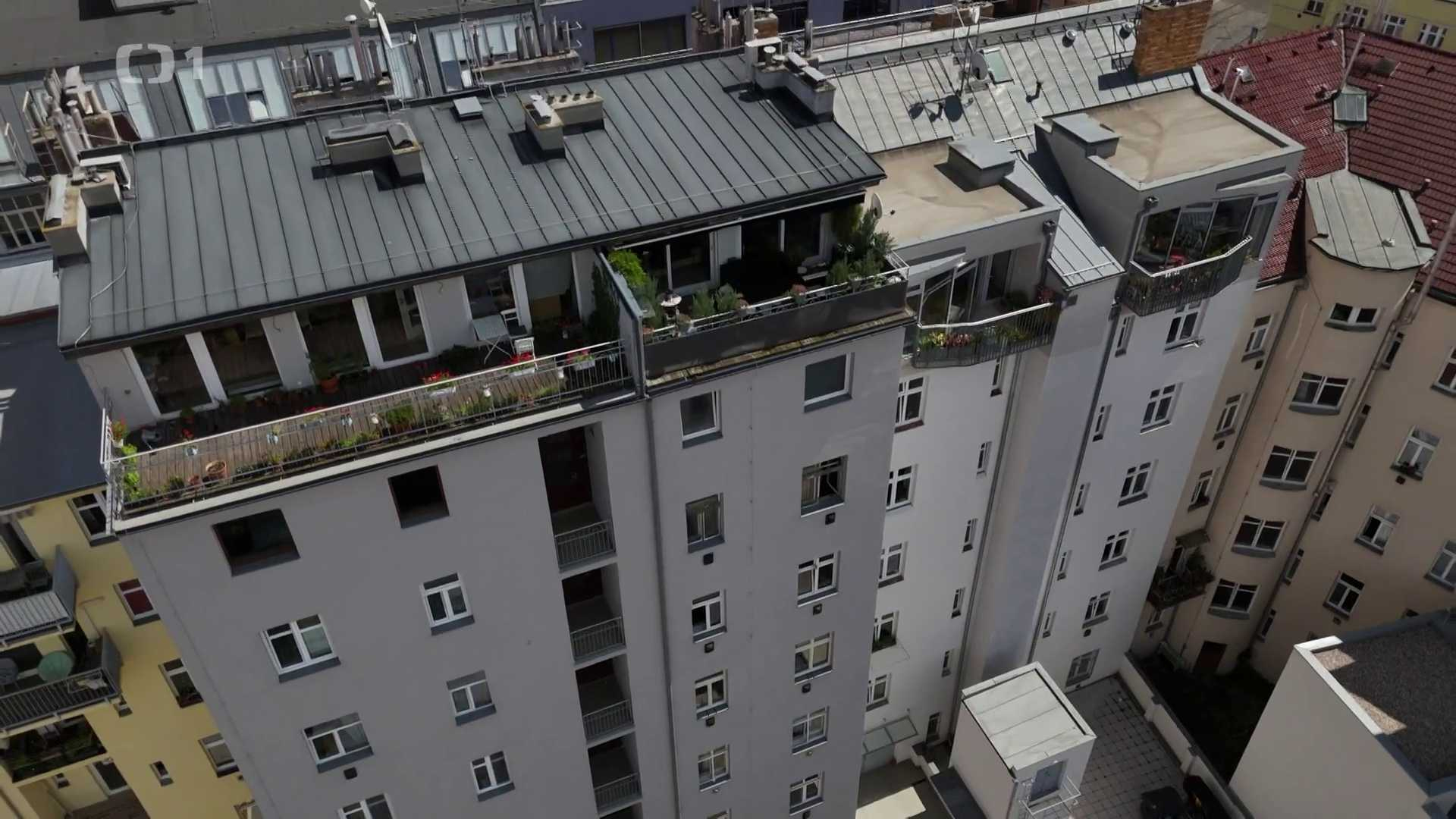 Černé ovce