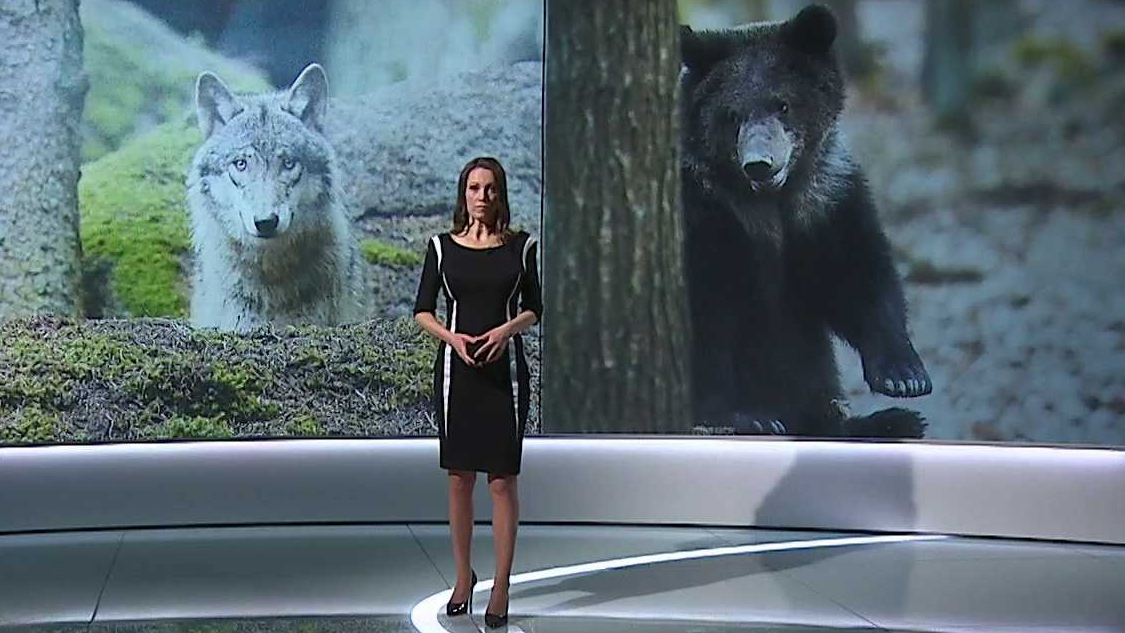 Věda 24, 06. 04. 2025