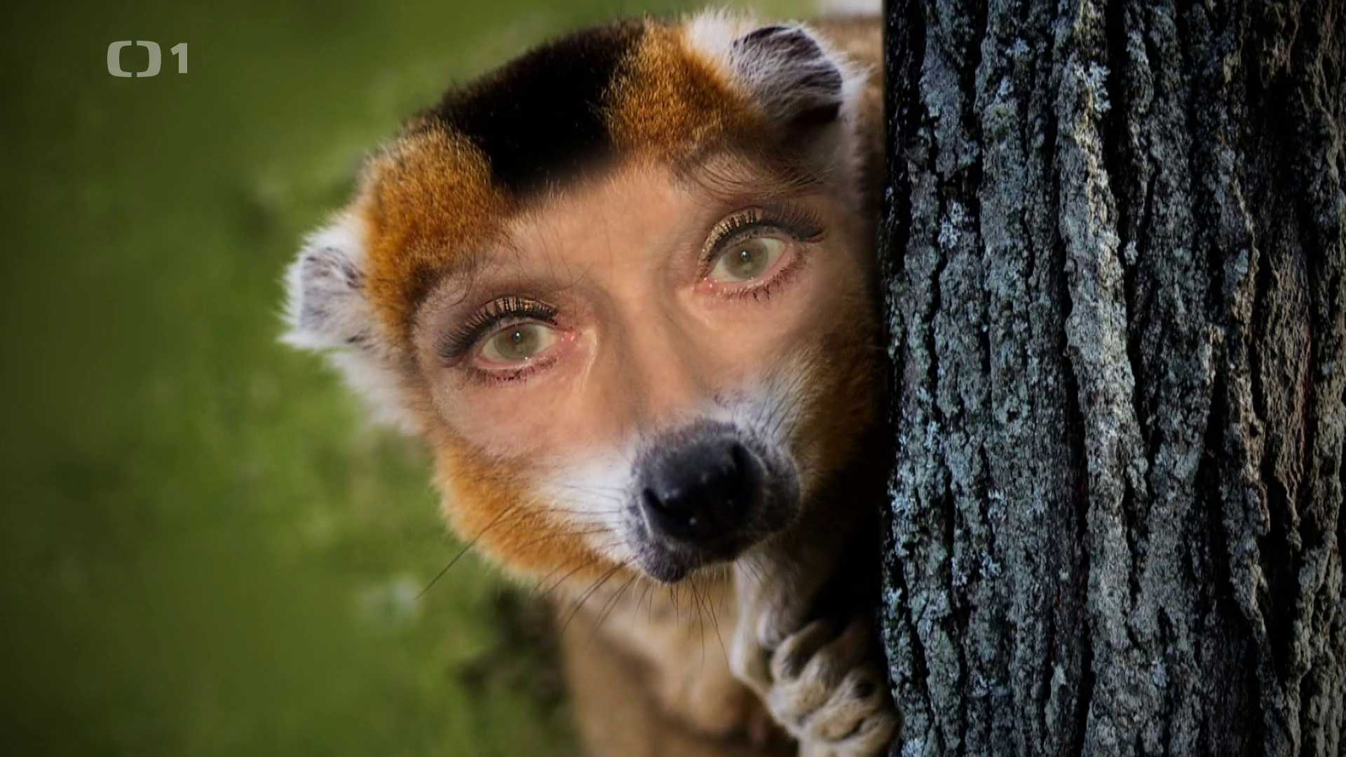Kalendárium