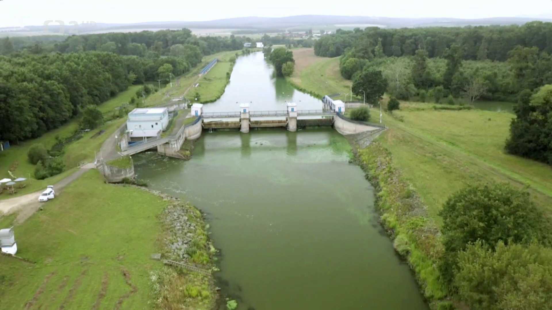 Nedej se