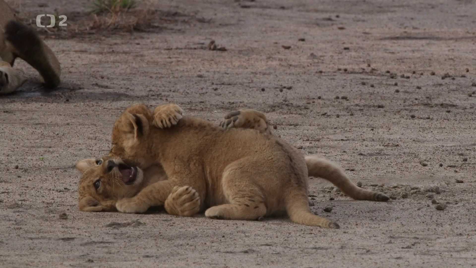 Dobrodružství vědy a techniky