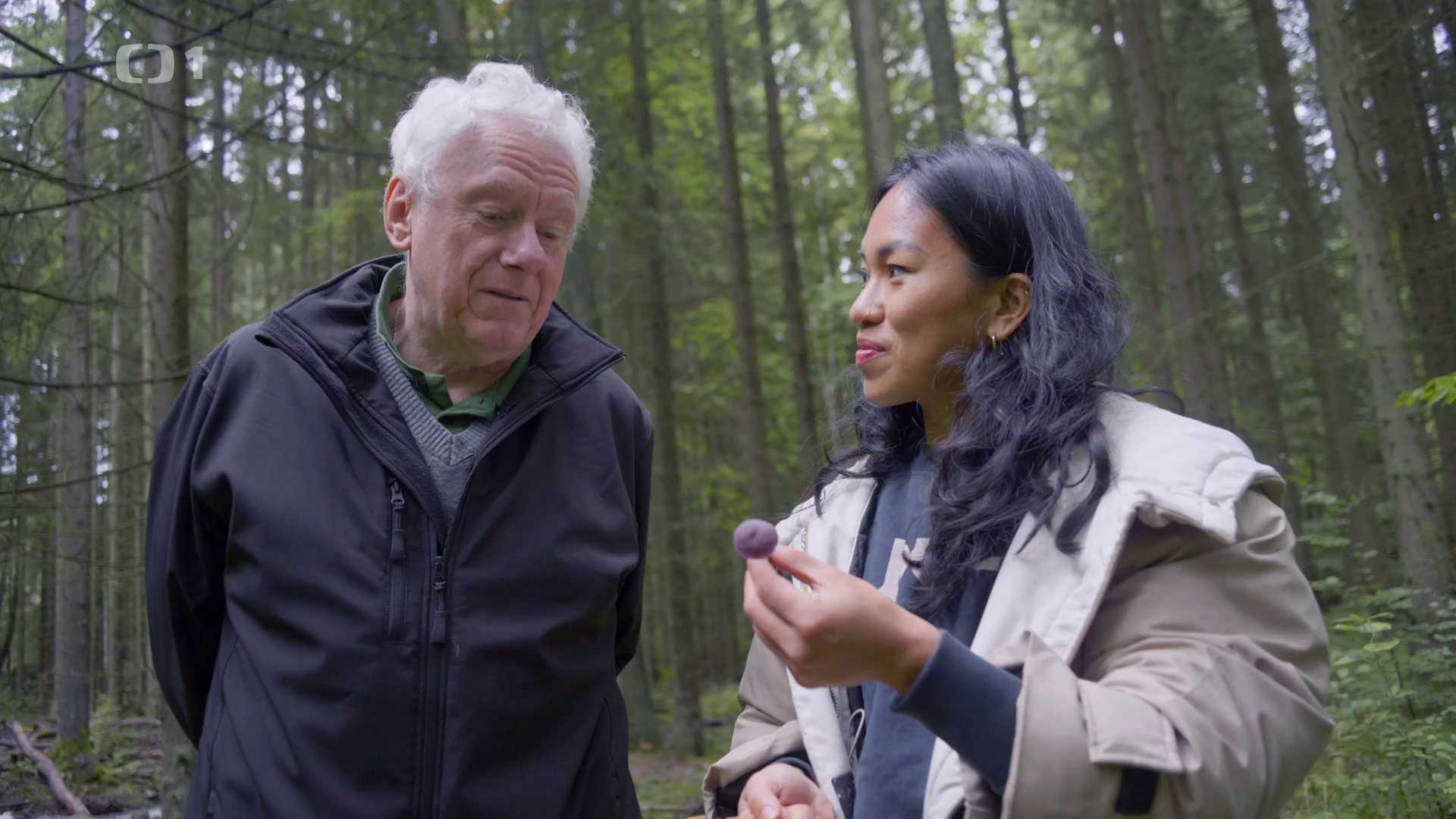 Zpátky do přírody