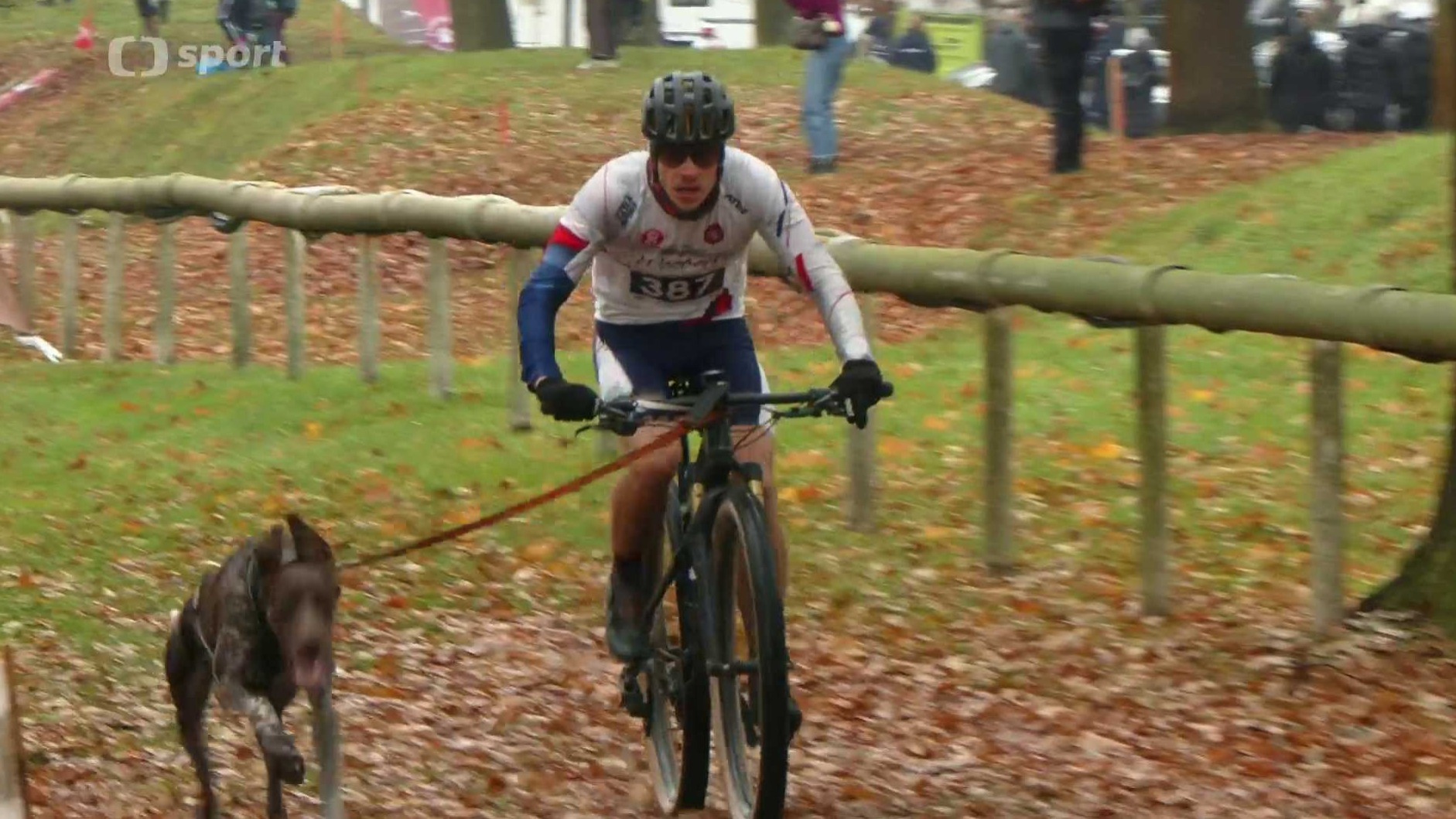 MS v individuálním mushingu 2025